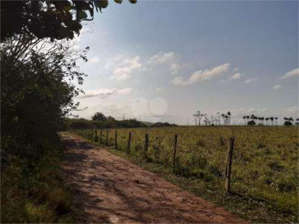 Venda Sítio Campos Dos Goytacazes Área Rural De Campos Dos Goytacazes REO785783 6