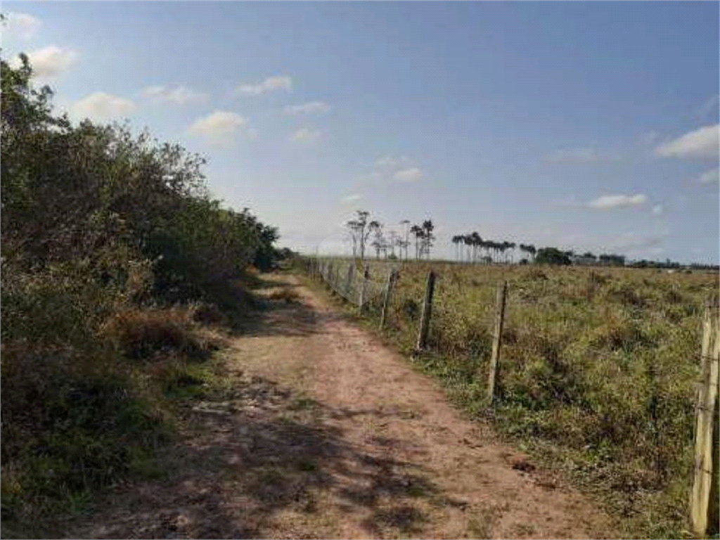 Venda Sítio Campos Dos Goytacazes Área Rural De Campos Dos Goytacazes REO785783 1