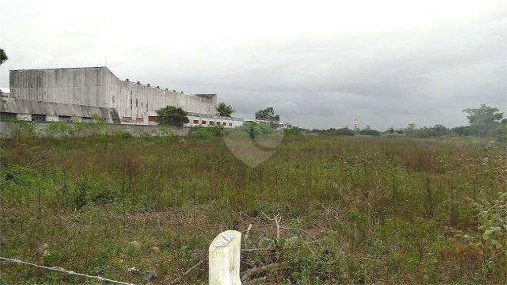 Venda Sítio Campos Dos Goytacazes Área Rural De Campos Dos Goytacazes REO785783 15