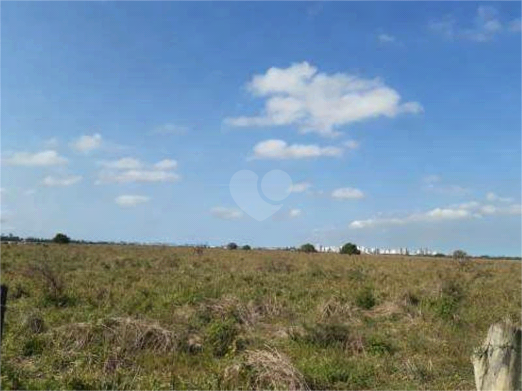 Venda Sítio Campos Dos Goytacazes Área Rural De Campos Dos Goytacazes REO785783 14