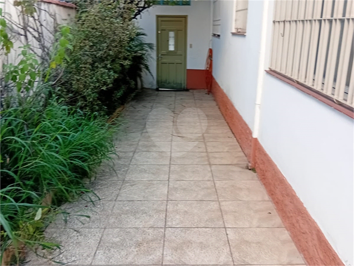 Foto REO786395