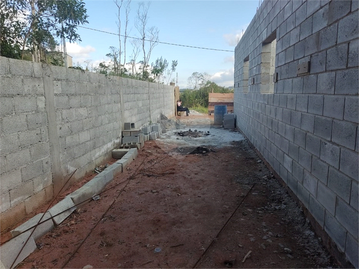 Foto REO787936
