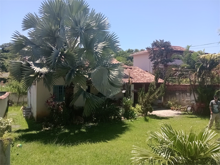 Foto REO790058