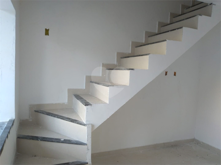 Foto REO790270