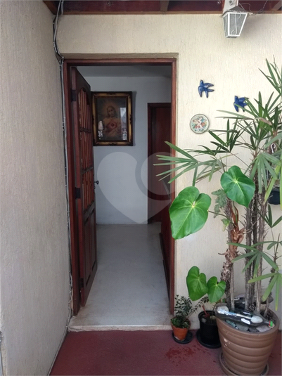 Foto REO790988