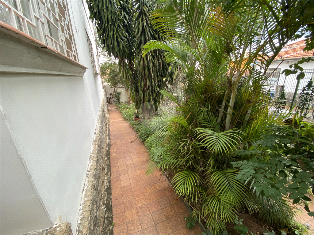 Venda Casa São Paulo Vila Romana REO791106 7