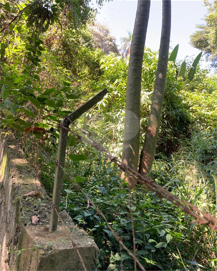 Venda Terreno São Paulo Vila Irmãos Arnoni REO791115 2