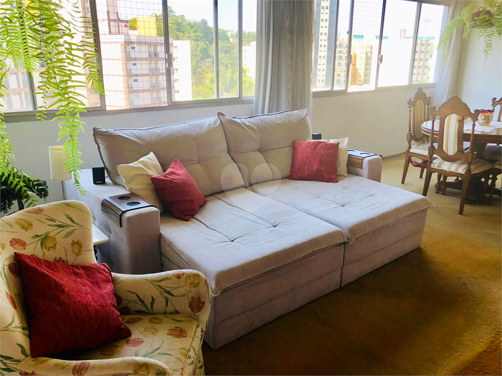 Venda Apartamento Campinas Jardim Proença REO791469 6