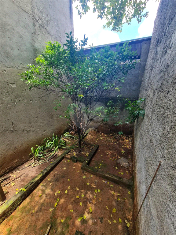 Venda Sobrado São Paulo Jardim Peri REO791568 22