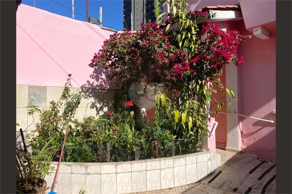 Venda Casa São Paulo Cambuci REO791607 6