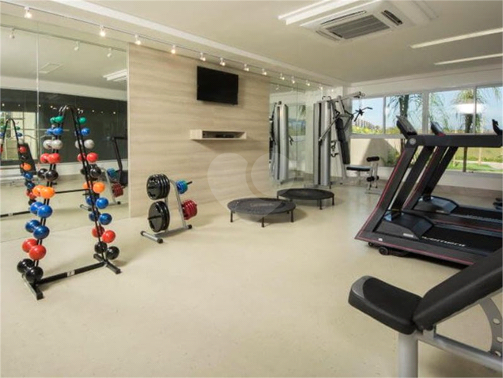 Venda Loteamento Vila Velha Santa Paula I REO792755 10