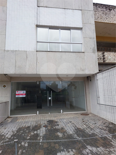 Foto REO792780