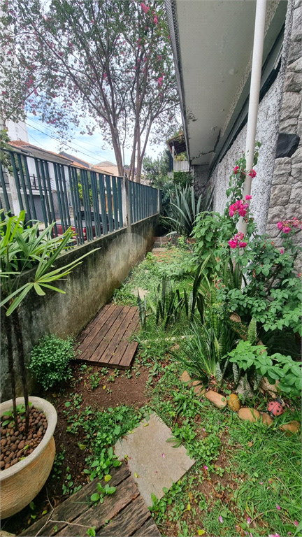 Venda Casa térrea São Paulo Vila Clementino REO792838 2