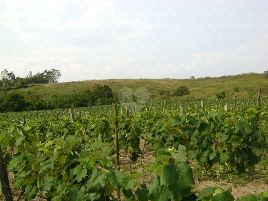 Venda Área de Terra Indaiatuba Colinas Do Mosteiro De Itaici REO793191 1