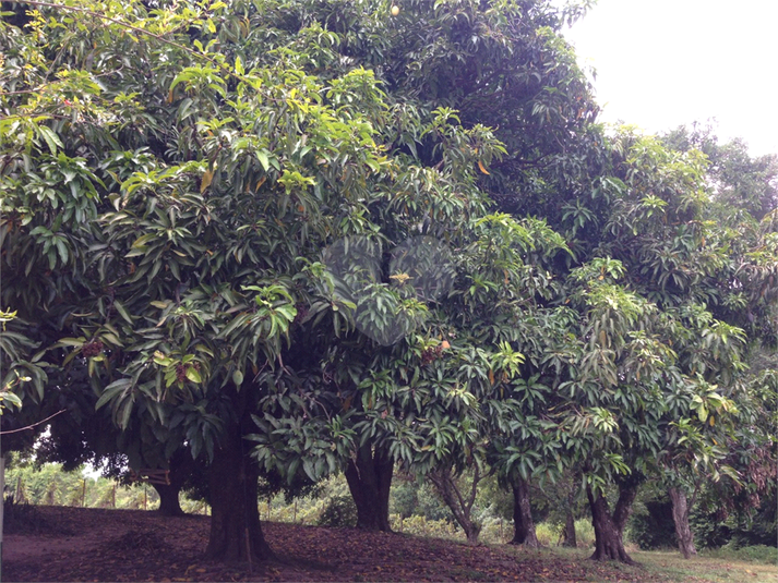 Venda Área de Terra Indaiatuba Colinas Do Mosteiro De Itaici REO793191 9