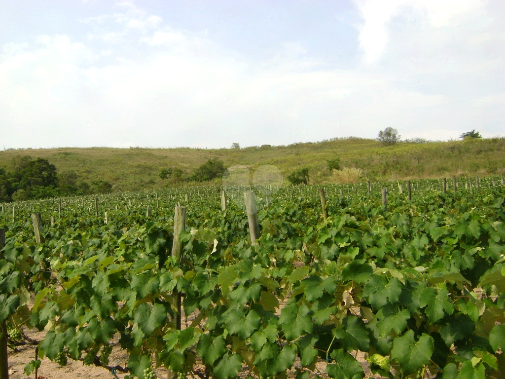 Venda Área de Terra Indaiatuba Colinas Do Mosteiro De Itaici REO793191 5