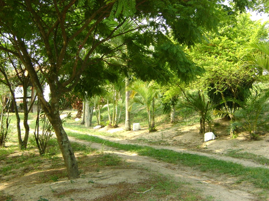 Venda Área de Terra Indaiatuba Colinas Do Mosteiro De Itaici REO793191 6