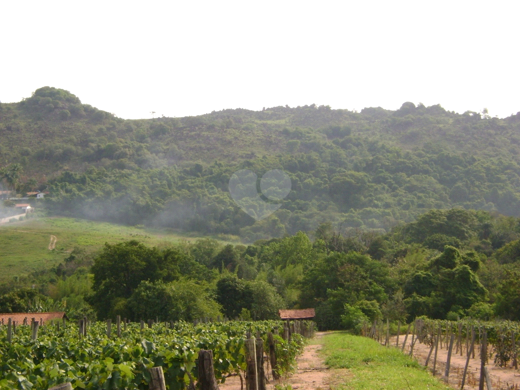 Venda Área de Terra Indaiatuba Colinas Do Mosteiro De Itaici REO793191 8