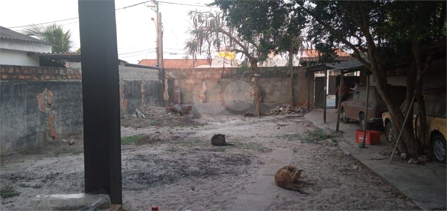 Foto REO793334
