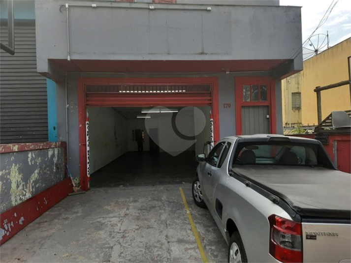 Foto REO793371