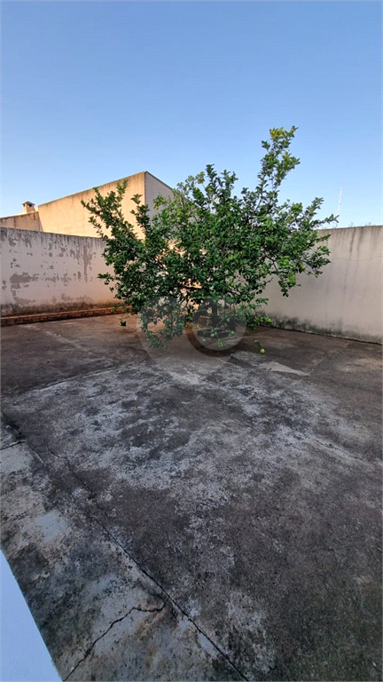 Venda Casa Uberlândia Segismundo Pereira REO793490 1