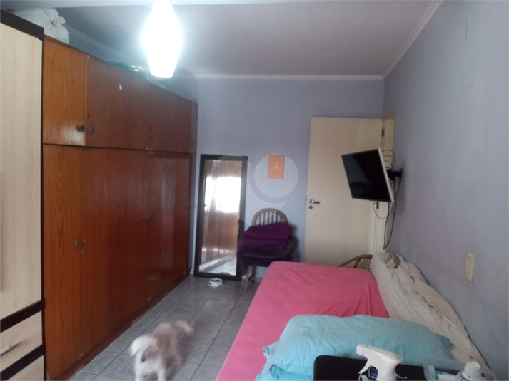 Foto REO793512