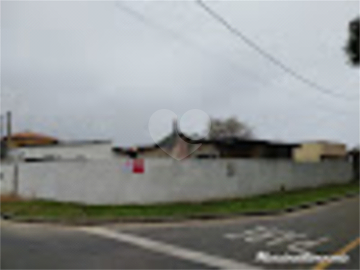 Foto REO793569