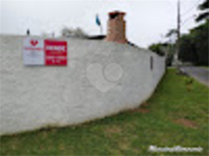 Foto REO793569