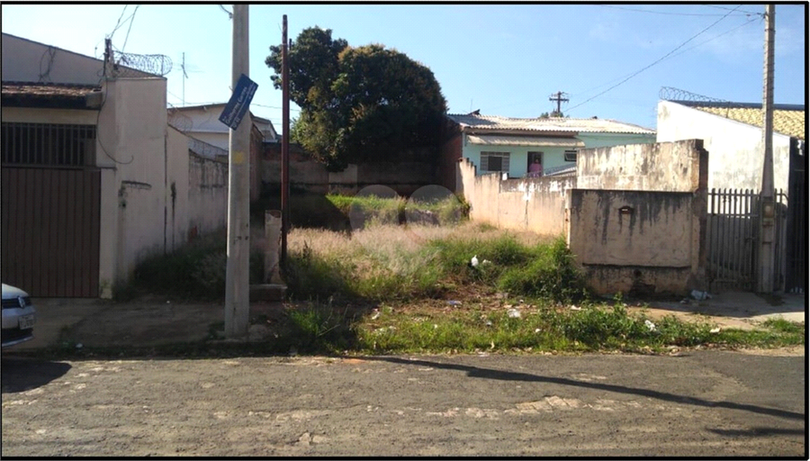 Foto REO793716