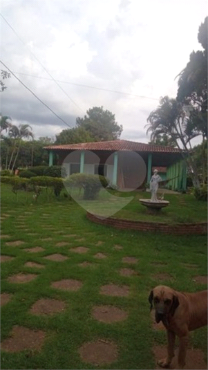 Foto REO793917