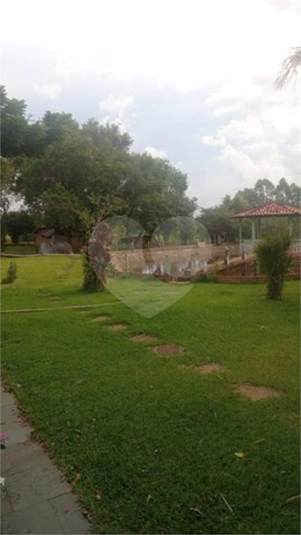 Foto REO793917