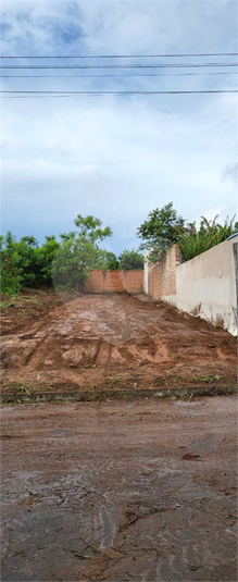 Foto REO794515