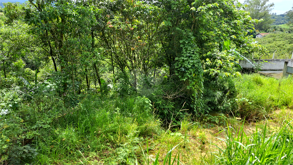 Venda Terreno Mairiporã Rio Acima REO794571 5