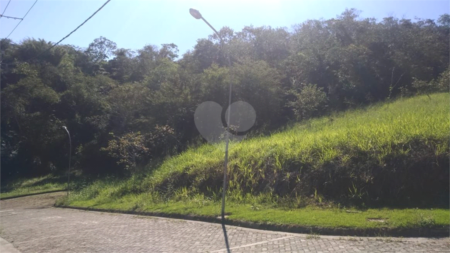 Foto REO796018