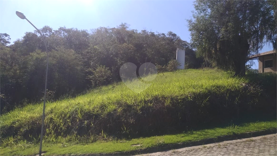 Foto REO796018