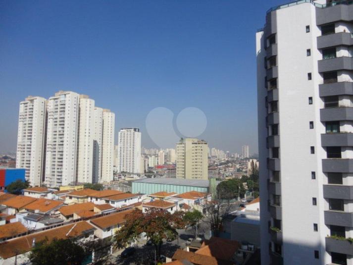 Foto REO79689