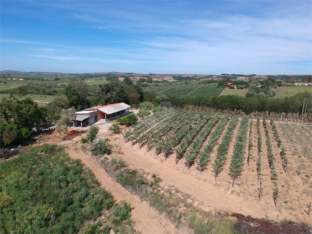 Venda Sítio Elias Fausto Centro REO797038 15