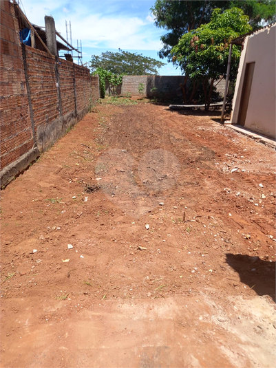 Foto REO797166
