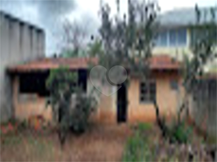Foto REO797461