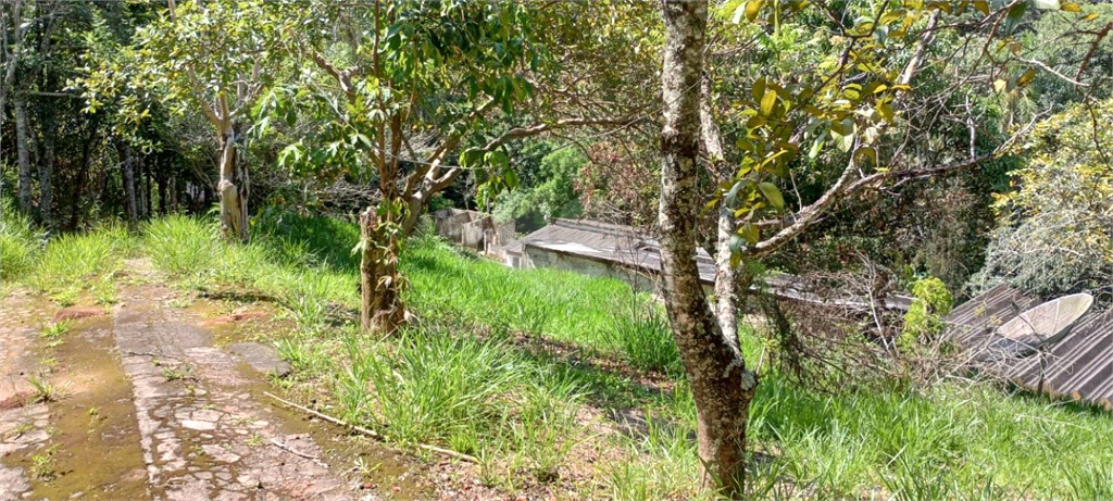 Venda Sítio Campo Limpo Paulista Estância São Paulo REO797478 13