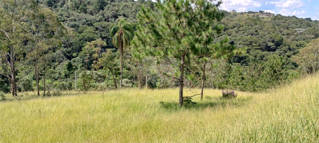 Venda Sítio Campo Limpo Paulista Estância São Paulo REO797478 20