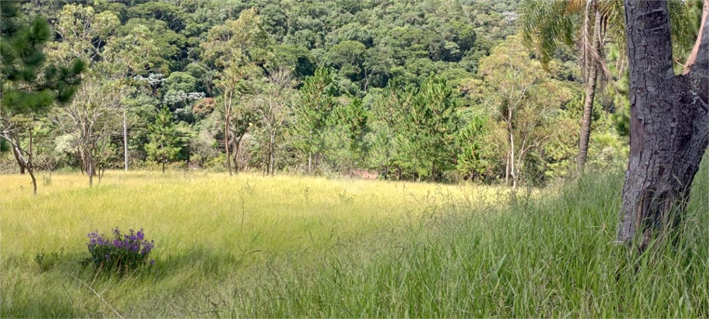 Venda Sítio Campo Limpo Paulista Estância São Paulo REO797478 19