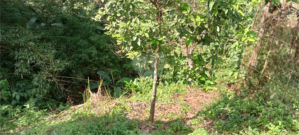 Venda Sítio Campo Limpo Paulista Estância São Paulo REO797478 15