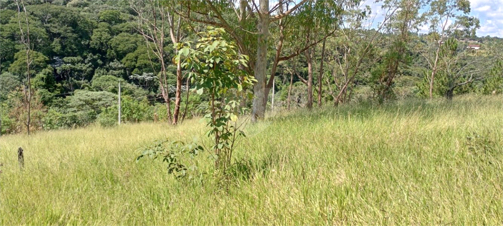 Venda Sítio Campo Limpo Paulista Estância São Paulo REO797478 16