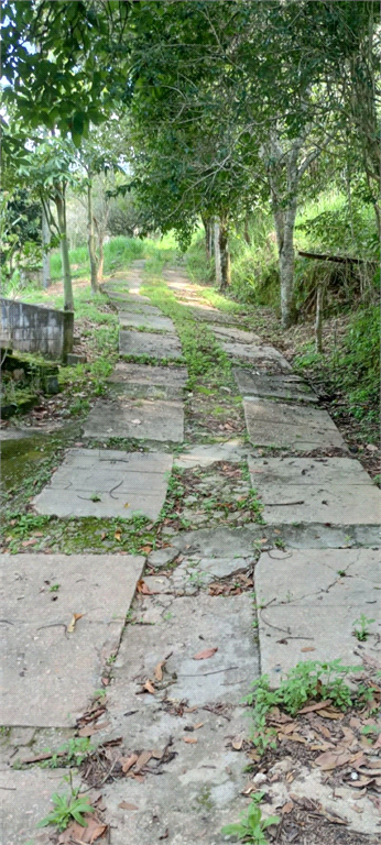 Venda Sítio Campo Limpo Paulista Estância São Paulo REO797478 11