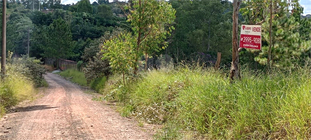 Venda Sítio Campo Limpo Paulista Estância São Paulo REO797478 21