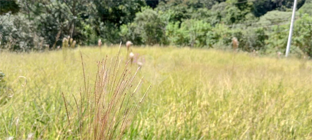 Venda Sítio Campo Limpo Paulista Estância São Paulo REO797478 17