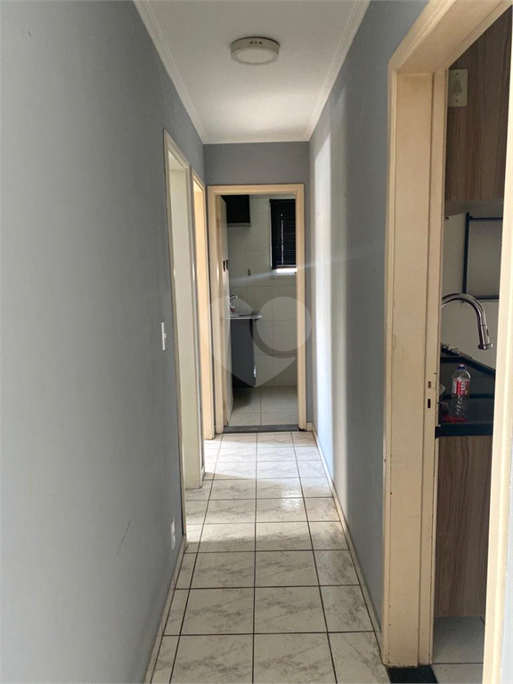 Venda Apartamento Campinas Vila Nova Teixeira REO797514 19