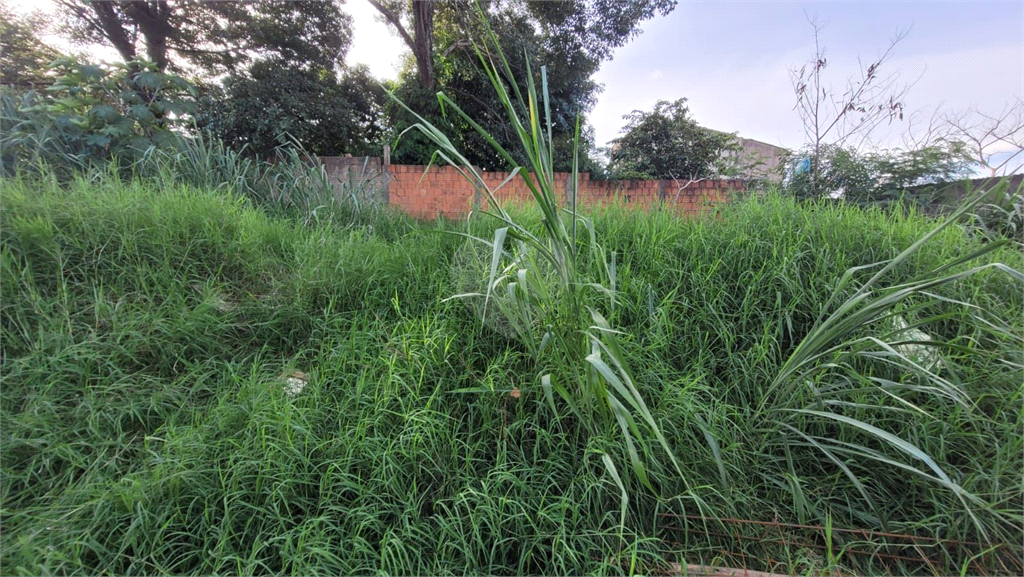 Venda Terreno São Carlos Cidade Aracy REO797593 15