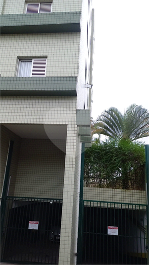 Foto REO797631